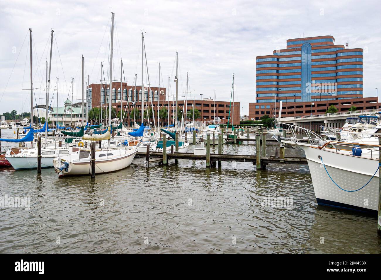 Hampton Virginia, Tidewater Area, Hampton River eau marina bateaux bateau port port yachts, bâtiments ville gratte-ciel site touristique Banque D'Images