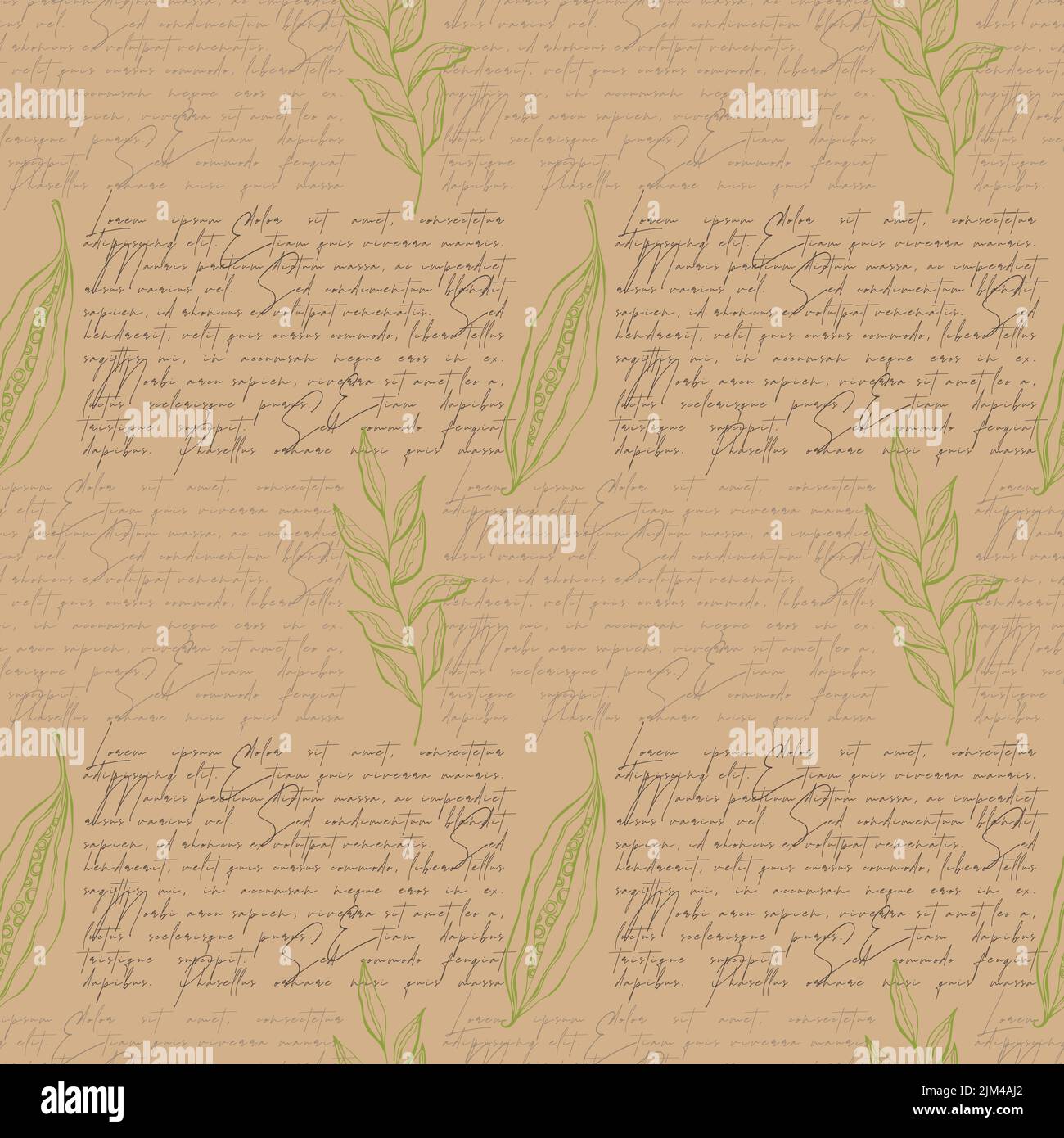 Motif et branche fleurie en forme de coolé. Illustration vectorielle Illustration de Vecteur