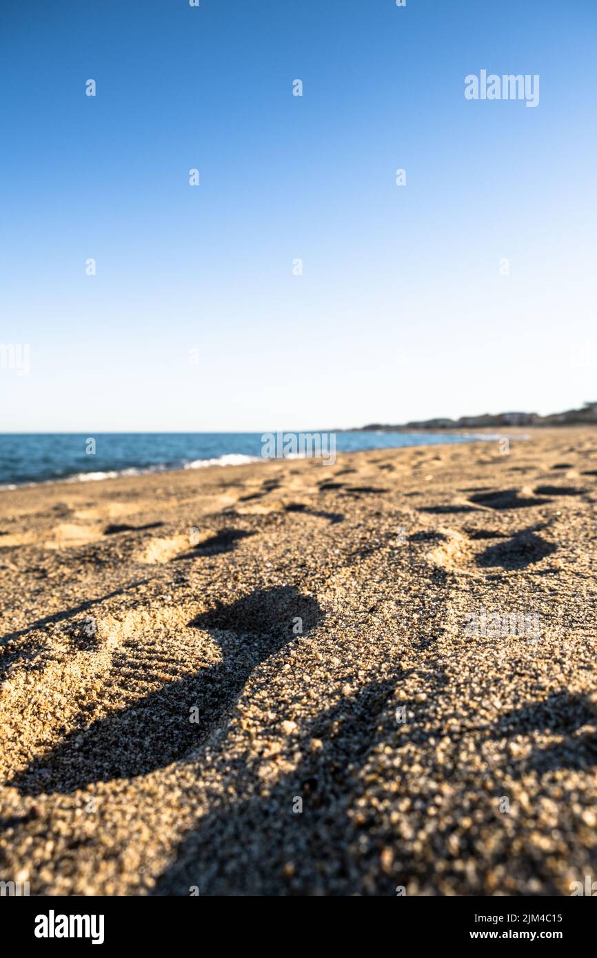 Paysage de mer Banque D'Images