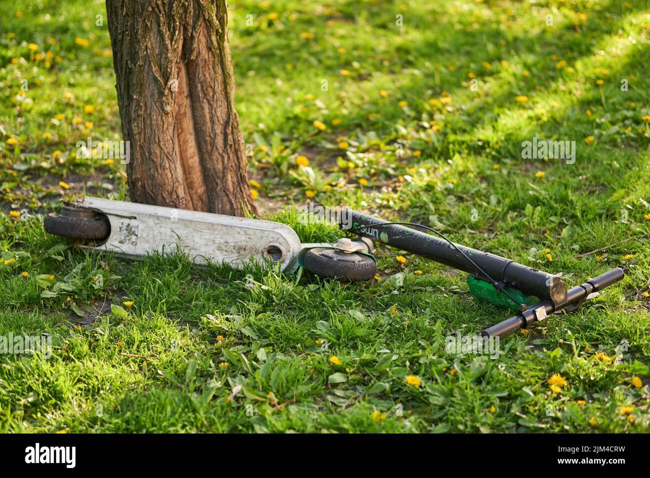 Un scooter électrique de location endommagé posé par un arbre sur l'herbe verte Banque D'Images