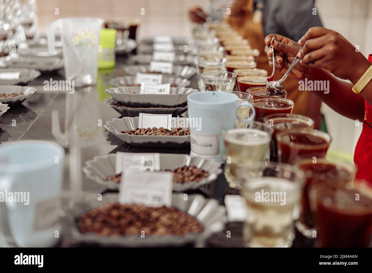 grains de café et verres avec café pour dégustation à l'usine Banque D'Images