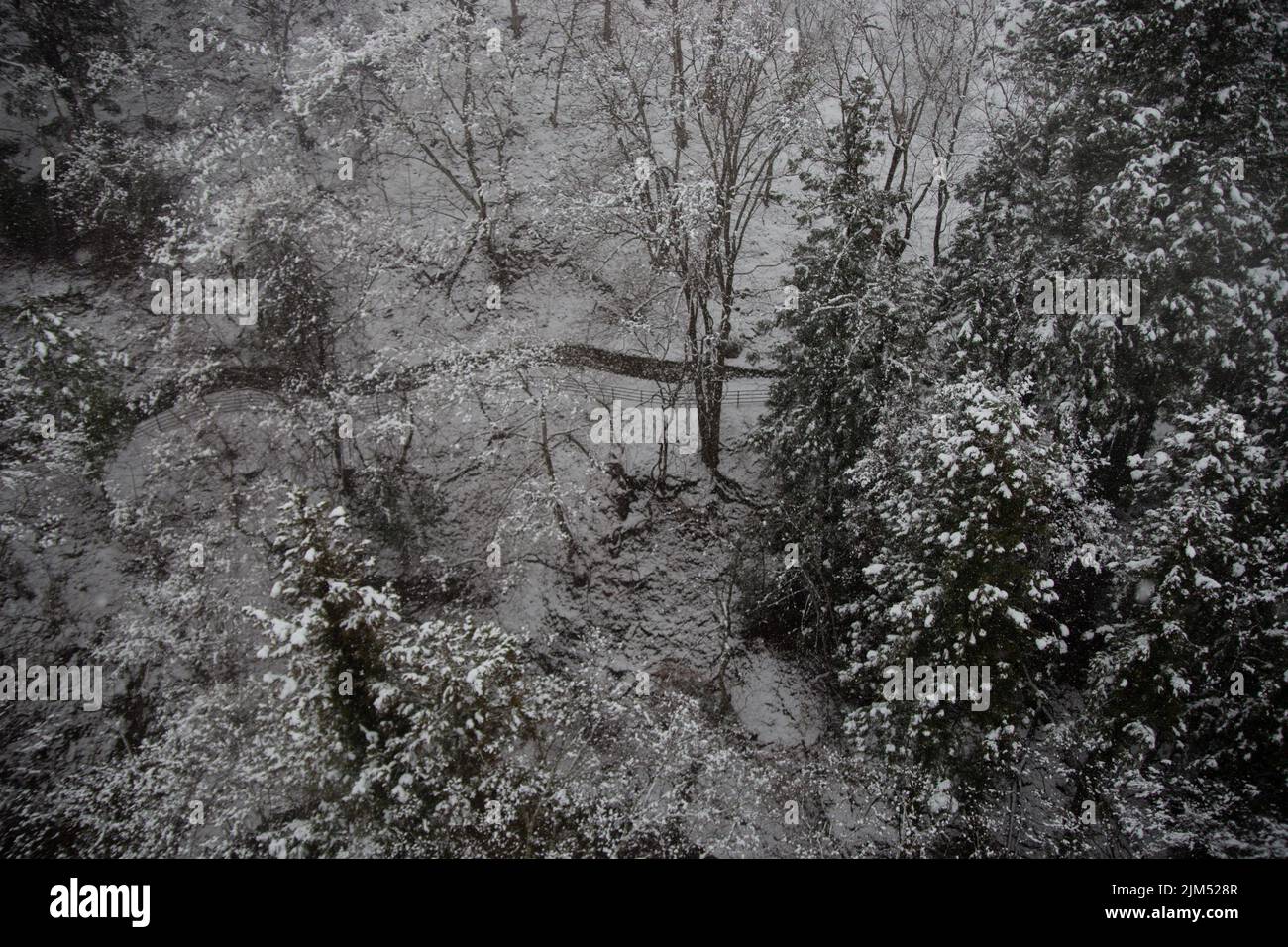 Chutes de neige dans les montagnes de Nagano, Japon. Banque D'Images