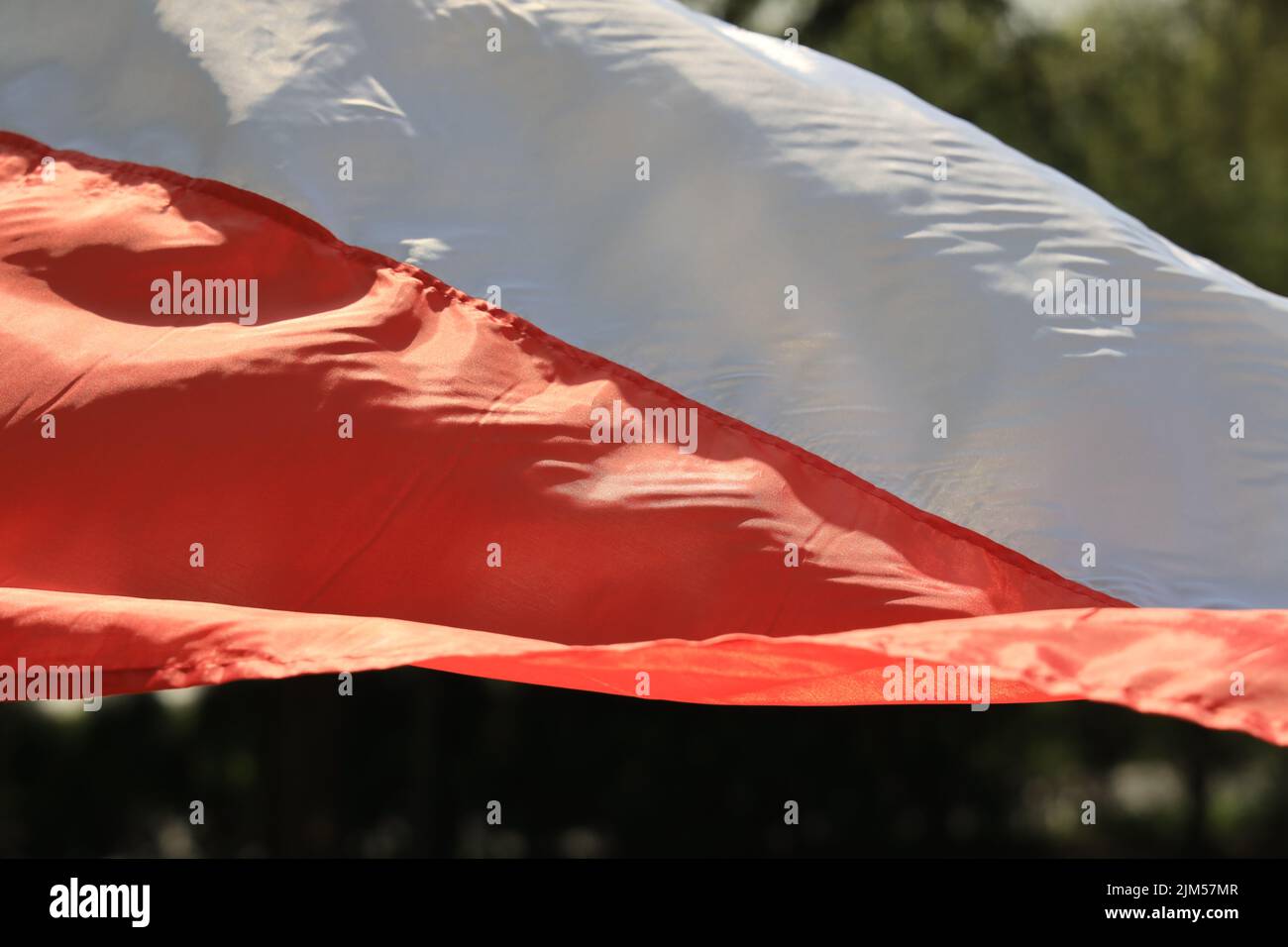 Gros plan d'un drapeau polonais vibrant avec lumière du soleil et arrière-plan vert flou Banque D'Images Gros plan d'un drapeau polonais vibrant avec lumière du soleil et arrière-plan vert flou Banque D'Images