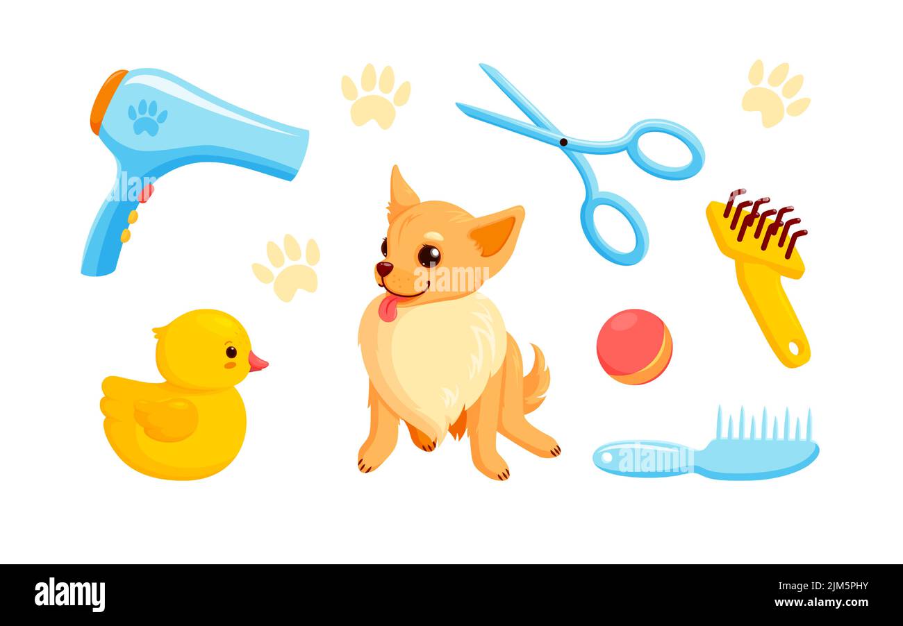 Accessoires pour chien et toilettage avec shampooing pour animaux, peignes et canards en caoutchouc. Chien joueur chihuahua dans le service de toilettage. Illustration vectorielle dans CUTE Illustration de Vecteur