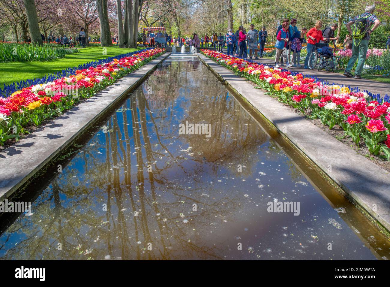 Une belle photo d'un sentier aquatique entouré de tulipes colorées dans le parc de Keukenhof, aux pays-Bas Banque D'Images