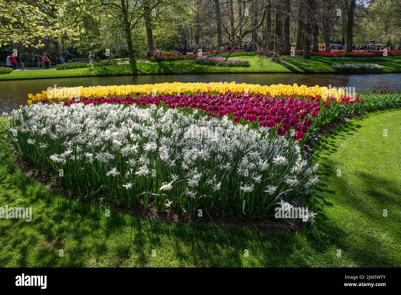 Une vue magnifique sur les fleurs colorées dans un parc de Keukenhof, aux pays-Bas Banque D'Images
