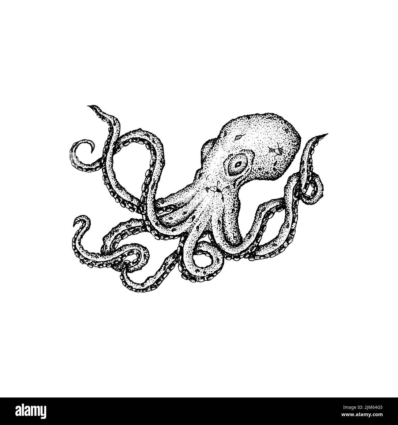 Dessin de la Dotwork d'Octopus. Illustration vectorielle d'objets dessinés à la main. Illustration de Vecteur