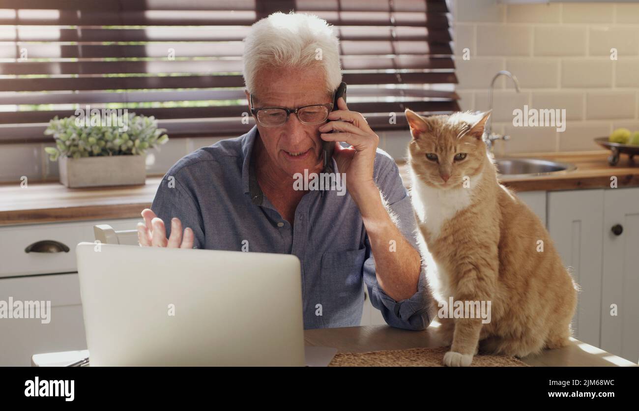 Mes clients savent que la messagerie instantanée est toujours prête aux aider. Un homme senior assis seul dans la cuisine avec son chat et utilisant la technologie pour travailler de la maison. Banque D'Images