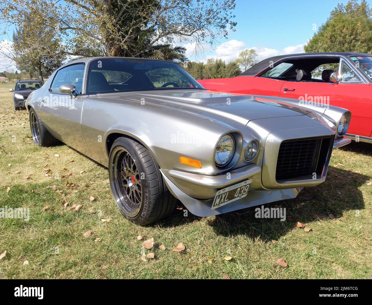 Vieux gris argent Chevrolet Camaro coupé 1972 deuxième génération par GM dans la campagne. Nature, herbe, arbres. Muscle car classique. Banque D'Images