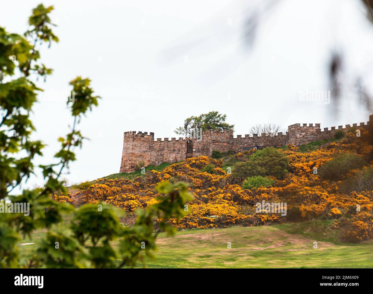 Une vue panoramique sur le Castelo de Santiago do Cacem sur une colline verdoyante contre les arbres et les fleurs au Portugal Banque D'Images