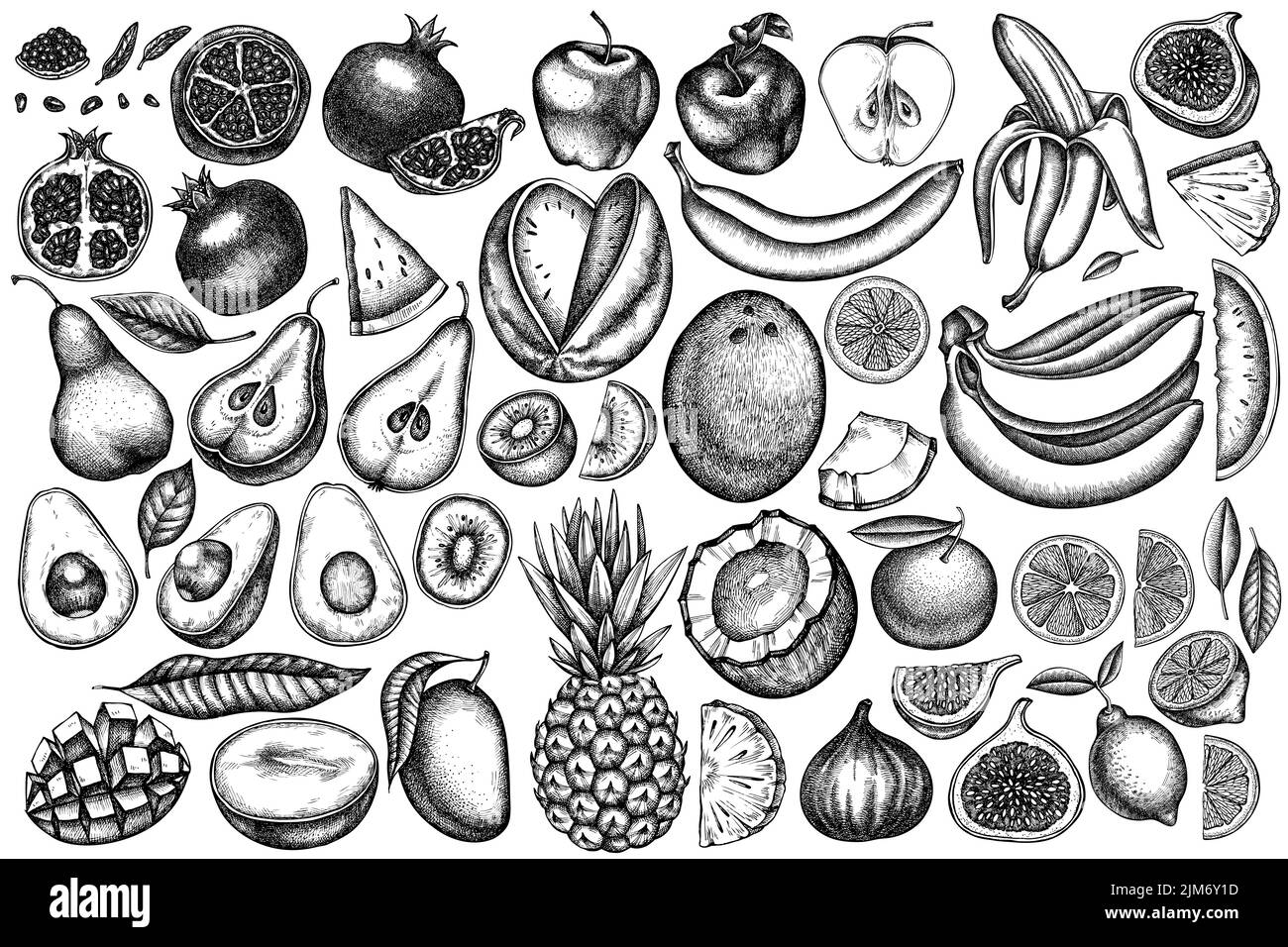 Collection d'illustrations vectorielles de fruits vintage. Bananes noires et blanches, poires, kiwi, etc Illustration de Vecteur