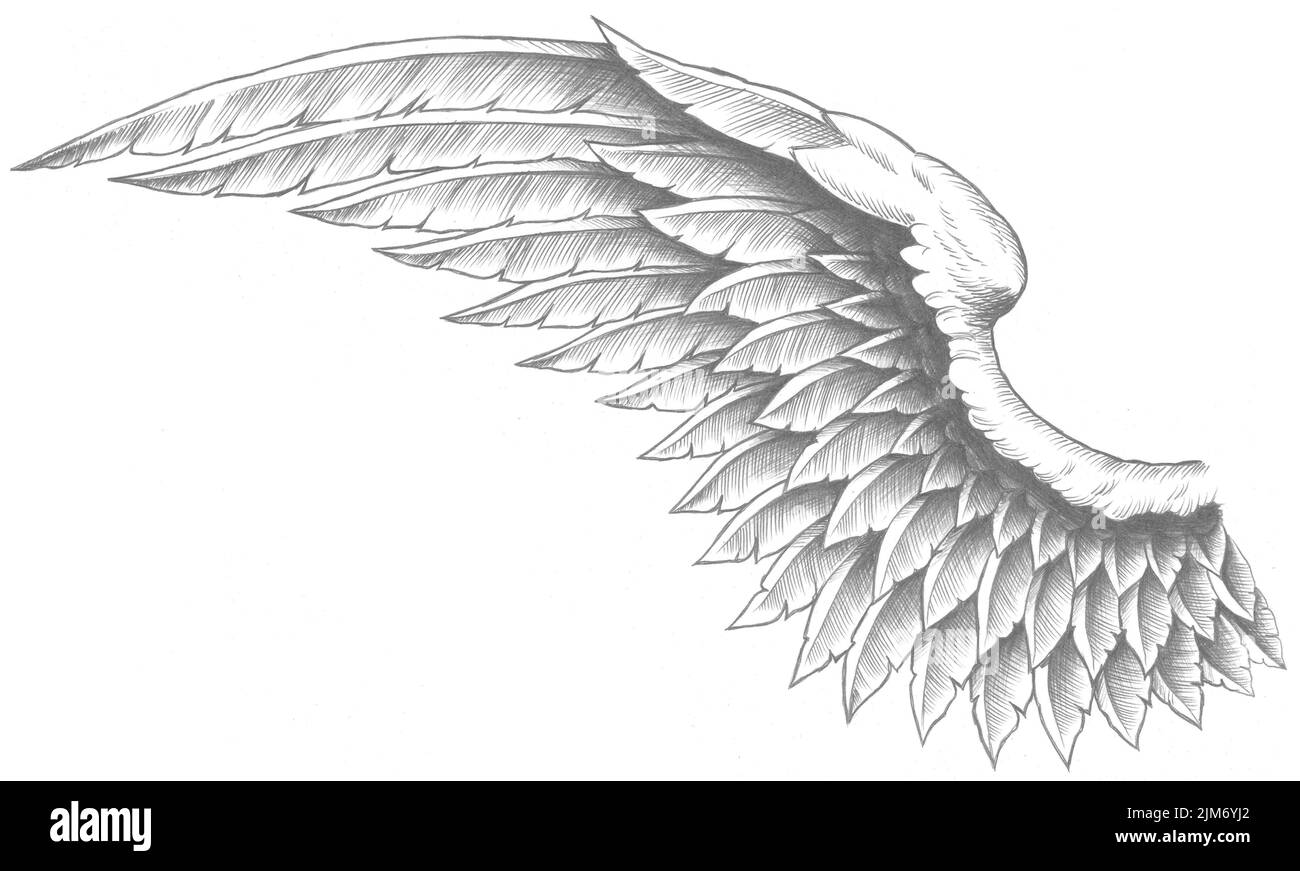 Une illustration numérique de tatouage noir blanc d'une aile ange Banque D'Images