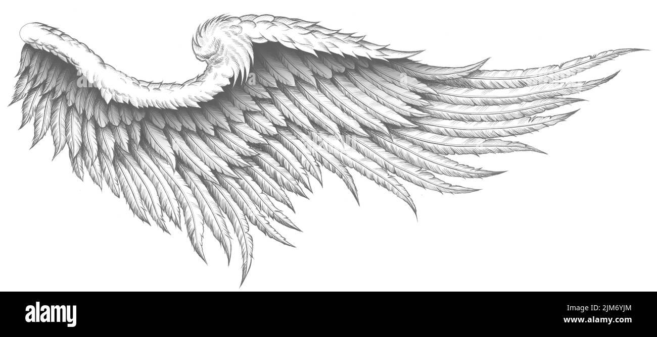 Une illustration numérique de tatouage noir blanc d'une aile d'ange avec des plumes Banque D'Images