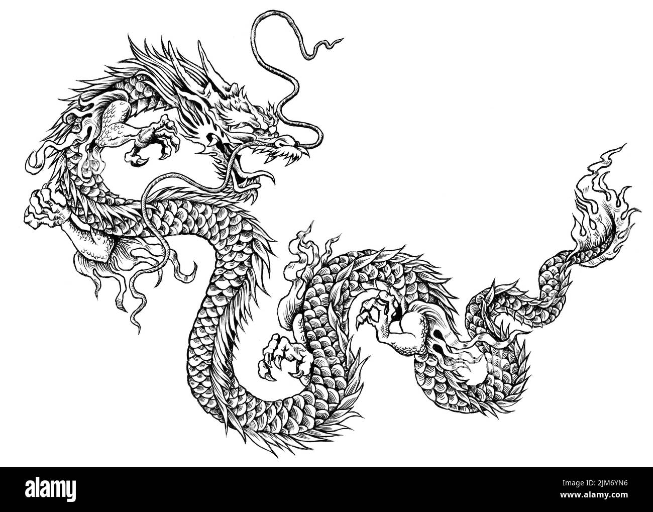 Dessin de dragon noir et blanc Banque de photographies et d’images à