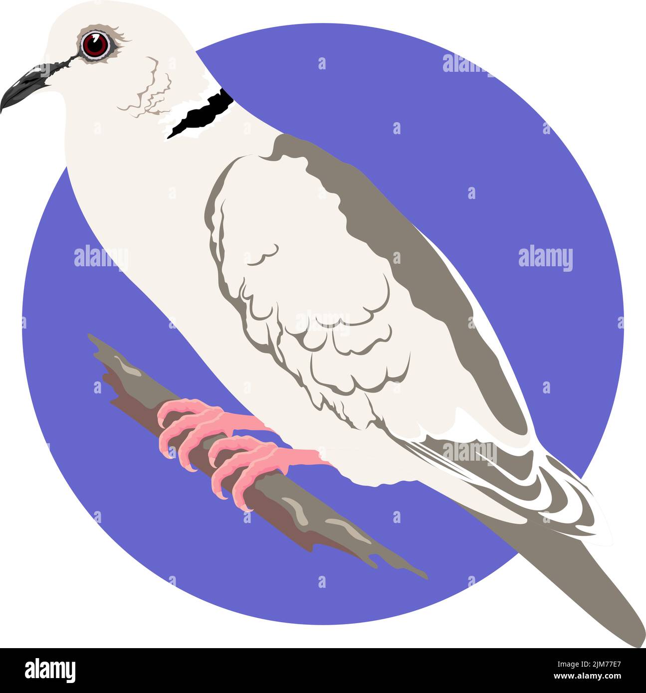 Une colombe perchée sur une branche isolée sur un fond violet et blanc Illustration de Vecteur