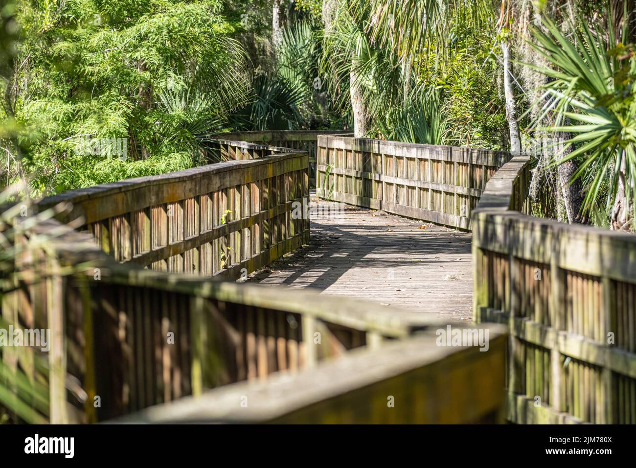 Sentier pédestre promenade surélevée à la réserve de Cradle Creek menant à l'estuaire de Pablo Creek le long de l'Intracoastal Waterway à Jacksonville Beach, FL. Banque D'Images