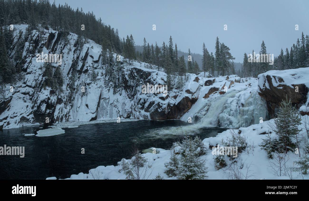 Cascade de Hyttfossen sur la rivière Gaula en hiver. Paysage enneigé du centre de la Norvège. Site touristique sur le chemin de Roros. Banque D'Images