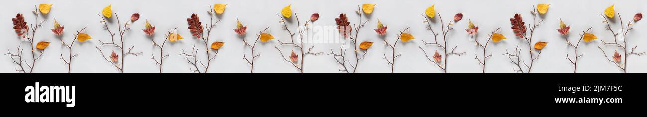 Bannière d'automne créative. Branches d'arbres avec des feuilles d'automne colorées sur des épingles à linge sur fond gris. Vue de dessus, Flat lay. Banque D'Images