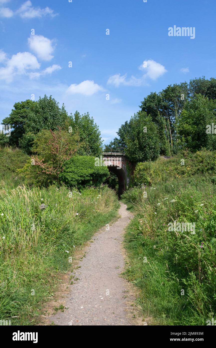 Sentier passant sous le pont de chemin de fer, Halesworth millénaire vert, Suffolk, Angleterre Banque D'Images