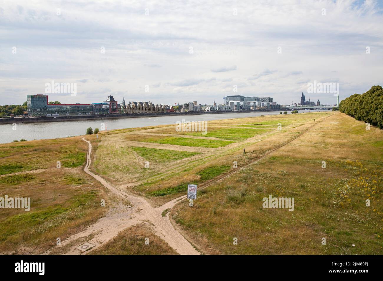 Basse eau du Rhin, 25 juillet 2022, prairies sur le Rhin dans le district de Poll, vue sur le port de Rheinau et la cathédrale, Cologne, G Banque D'Images