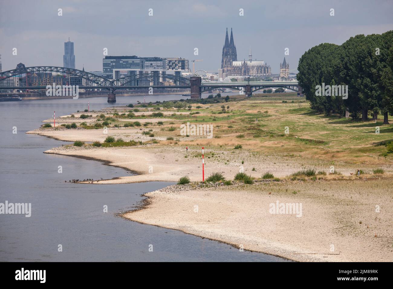 Basse eau du Rhin, 26 juillet 2022, rives du Rhin à Cologne-Poll, vue sur le port de Rheinau et la cathédrale, Cologne, Allemagne. Banque D'Images