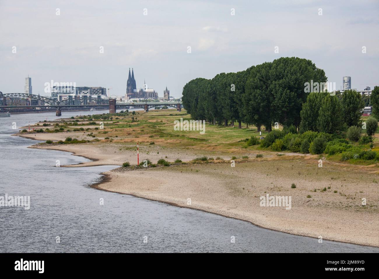 Basse eau du Rhin, 25 juillet 2022, rives du Rhin à Cologne-Poll, vue sur le port de Rheinau et la cathédrale, Cologne, Allemagne. Banque D'Images