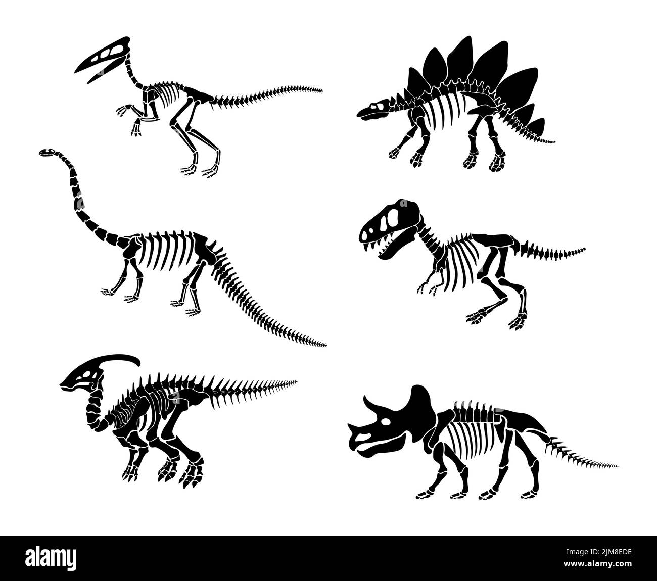 Ensemble vectoriel avec squelette de dinosaure isolé sur un fond blanc. Illustration de Vecteur