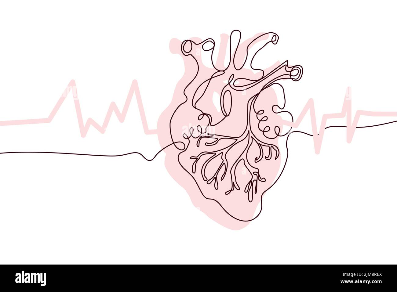Dessin de ligne continue d'icône en forme de coeur dessiné à la main et silhouette plate rose. Organes humains. Médecine tendance concept une seule ligne. Contour simple Illustration de Vecteur