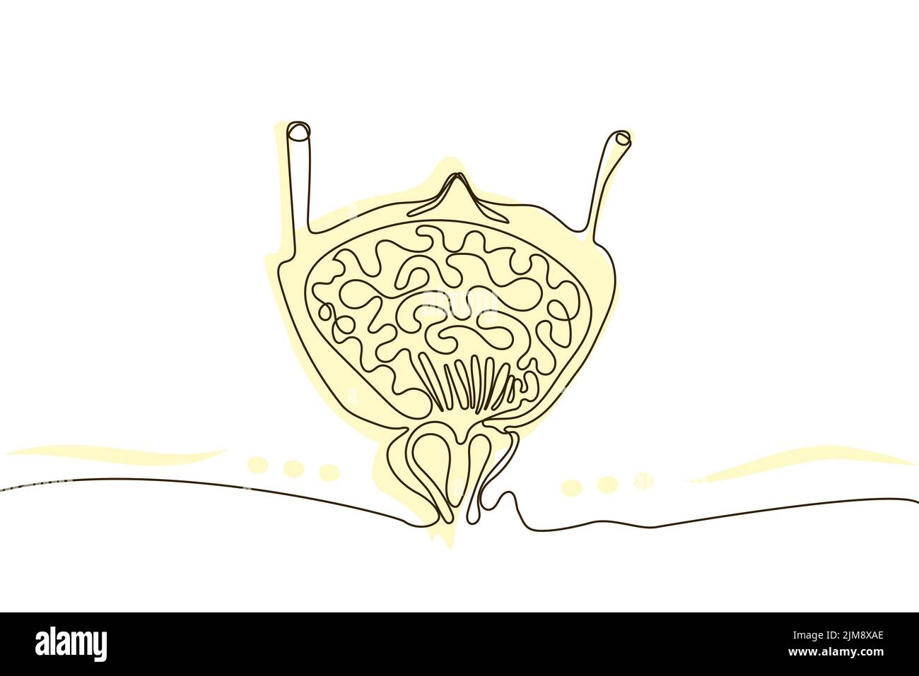 Vessie dessin main icône ligne continue dessin et silhouette plate rose. Organes humains. Médecine tendance concept une seule ligne. Contour simple Illustration de Vecteur