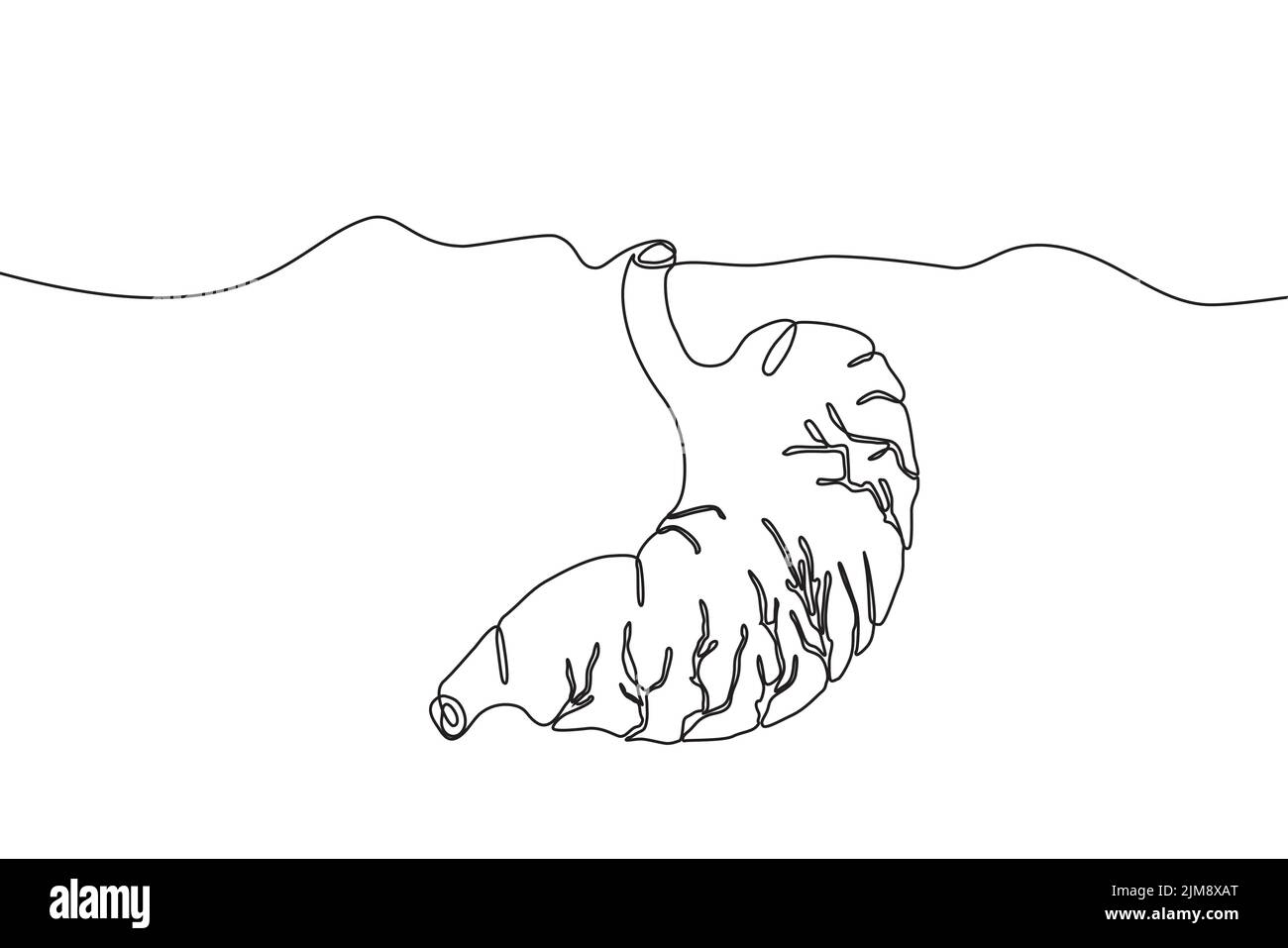 Estomac tracé à la main icône tracé en ligne continue. Human Orgues Creative résumé art arrière-plan tendance concept un seul design de ligne. Contour simple Illustration de Vecteur