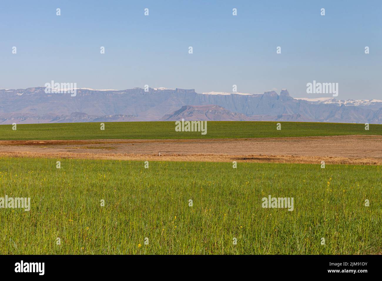 L'escarpement du Drakensberg s'étend sur plus de 1 000 kilomètres. Banque D'Images