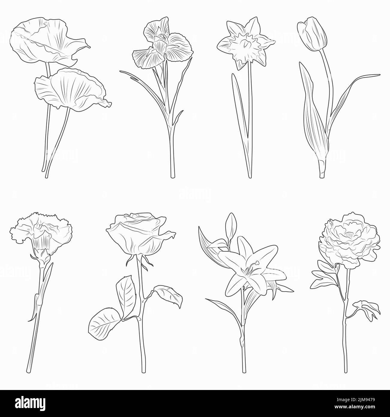 Ensemble d'esquisses noires de fleurs isolées. Illustration de Vecteur