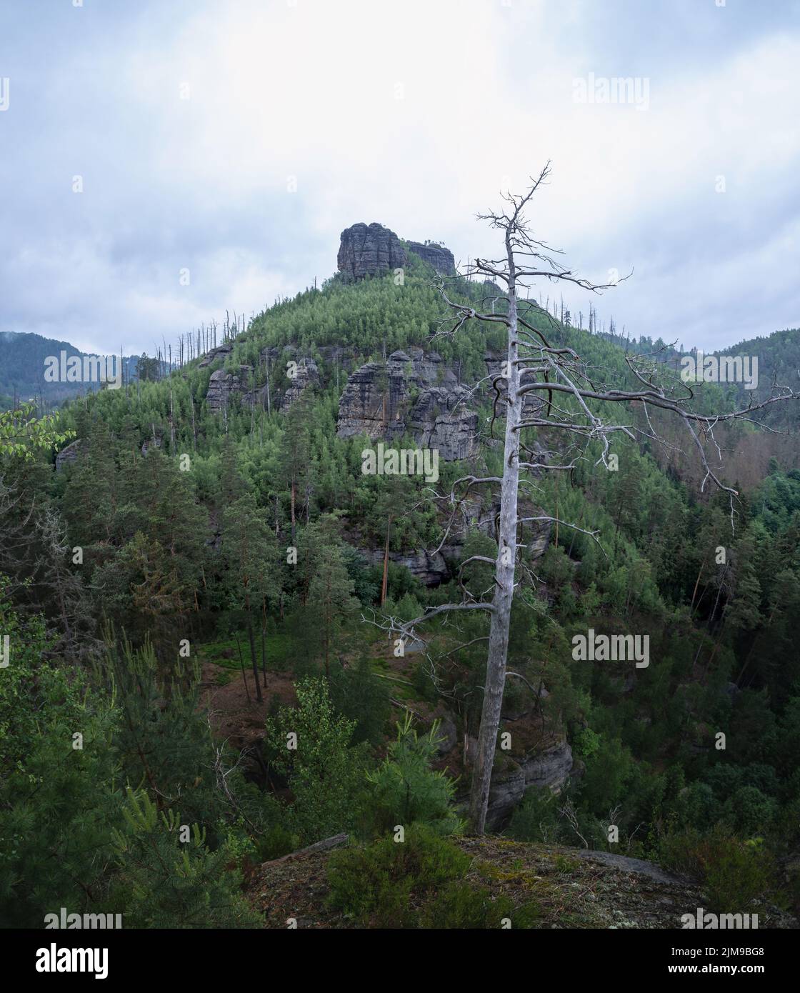Le château de Falkenstein comme formations rocheuses de grès dans le parc national de la Suisse de Bohême, République tchèque Banque D'Images