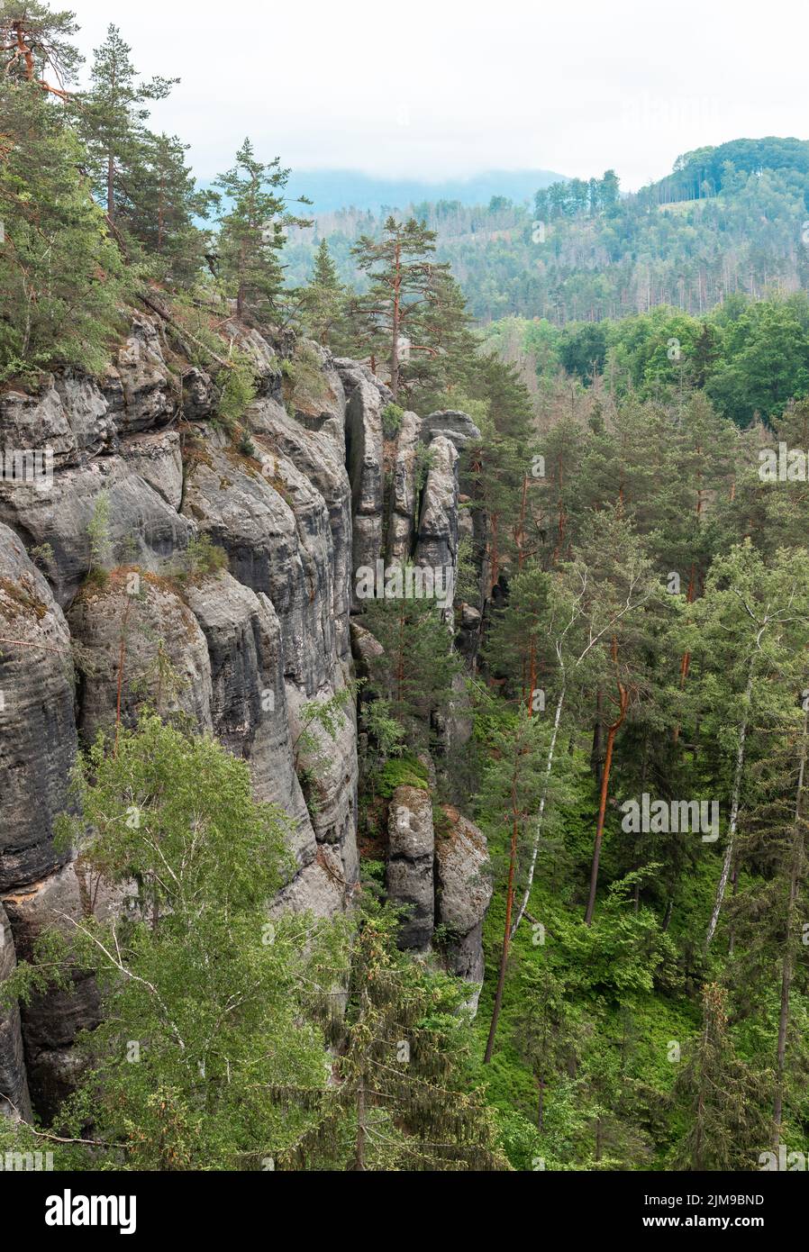 Formations rocheuses de grès dans le parc national de la Suisse de Bohême, République tchèque Banque D'Images