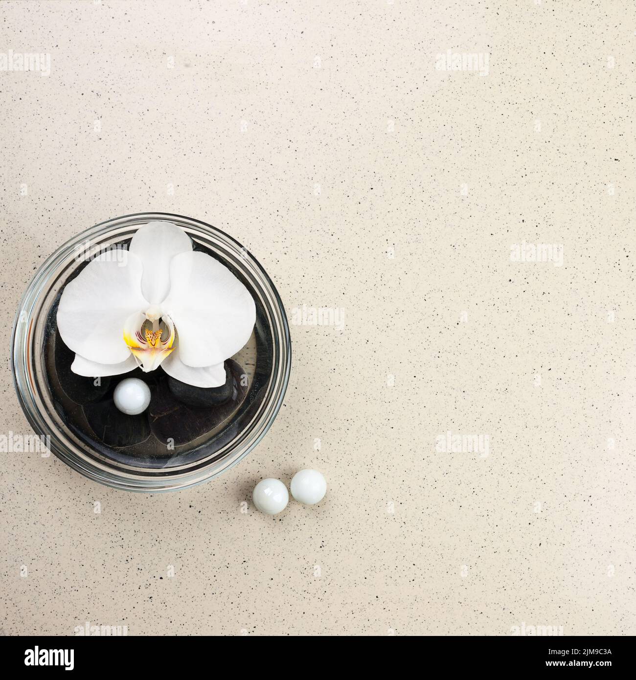 Fleur d'orchidée blanche dans vase en verre avec eau et pierres. Banque D'Images