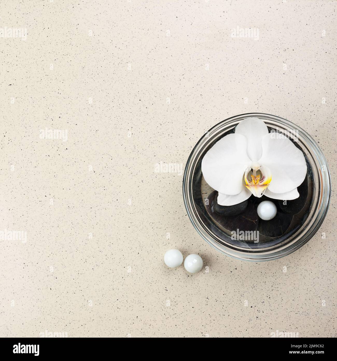 Fleur d'orchidée blanche dans vase en verre avec eau et pierres. Banque D'Images