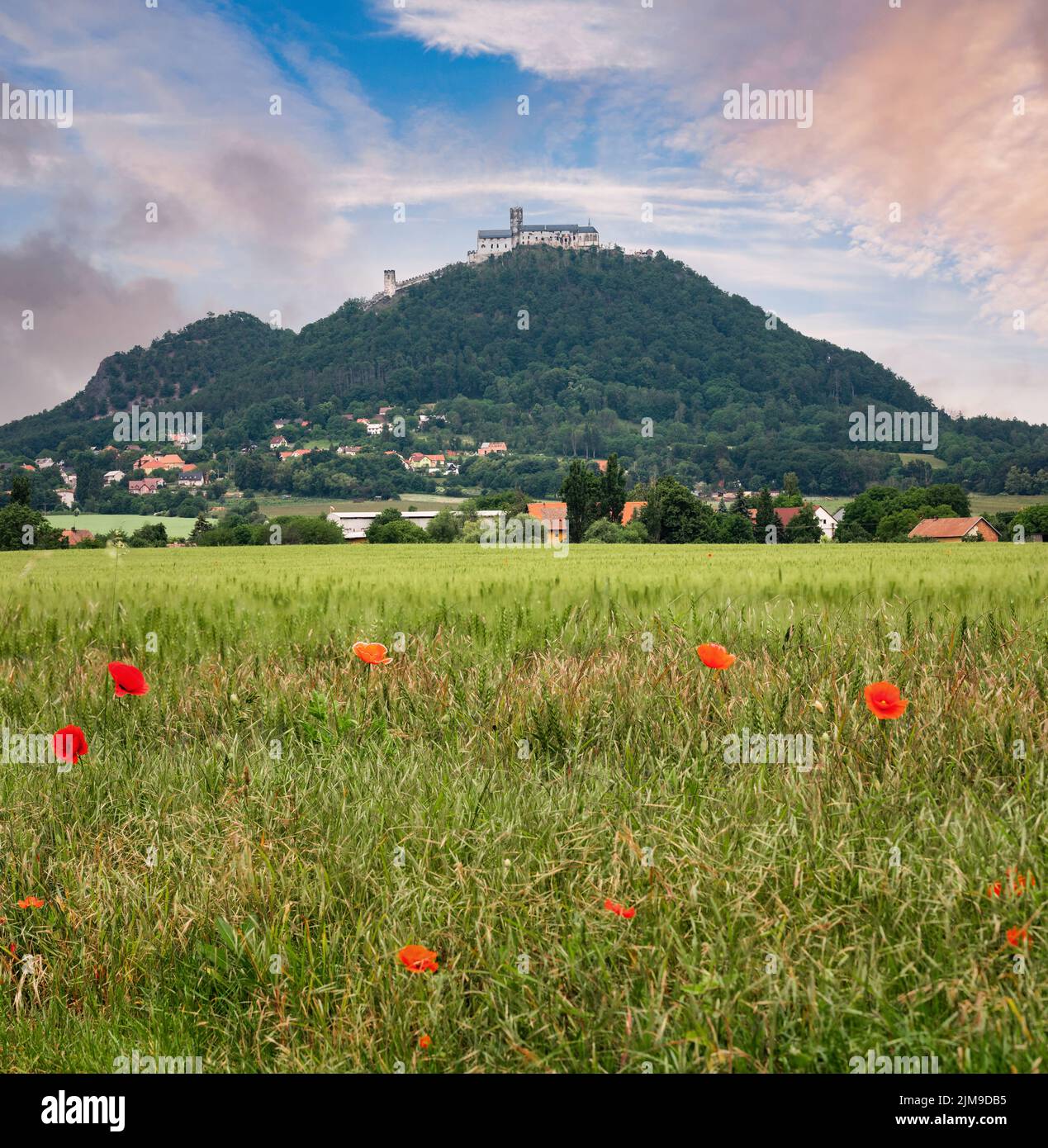 Château de Bezděz en République tchèque Banque D'Images
