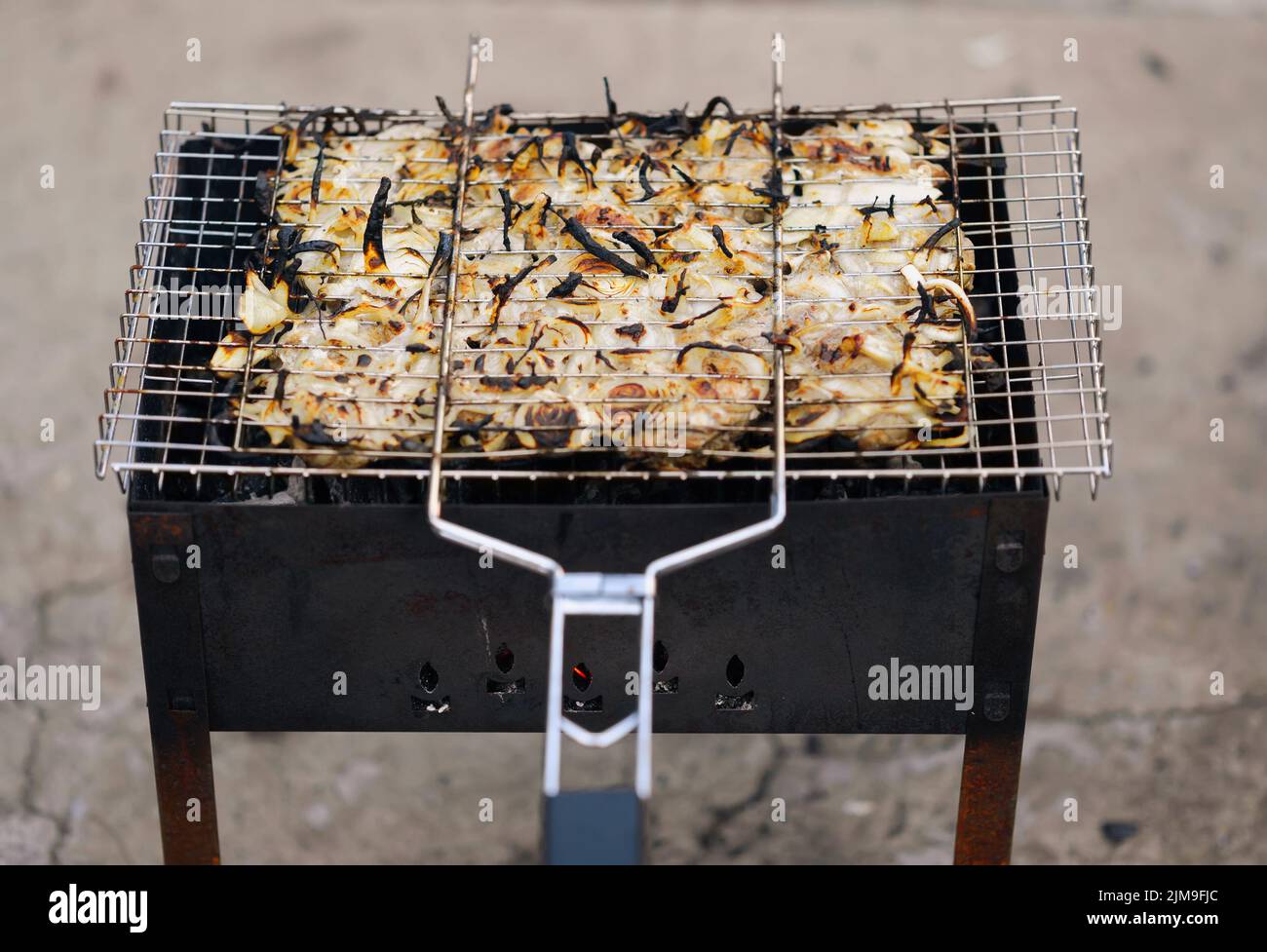 De nombreux morceaux de viande de poulet rôtie à l'oignon sur le gril Banque D'Images