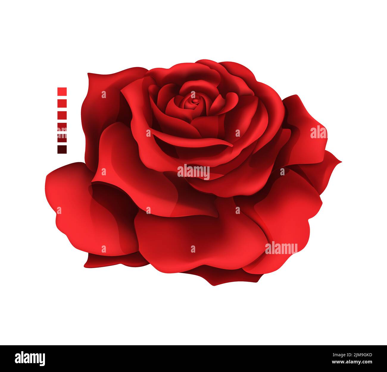 Dessin à la main rose et maille de couleur. Un rosebud fleuri. Illustration vectorielle. Illustration de Vecteur