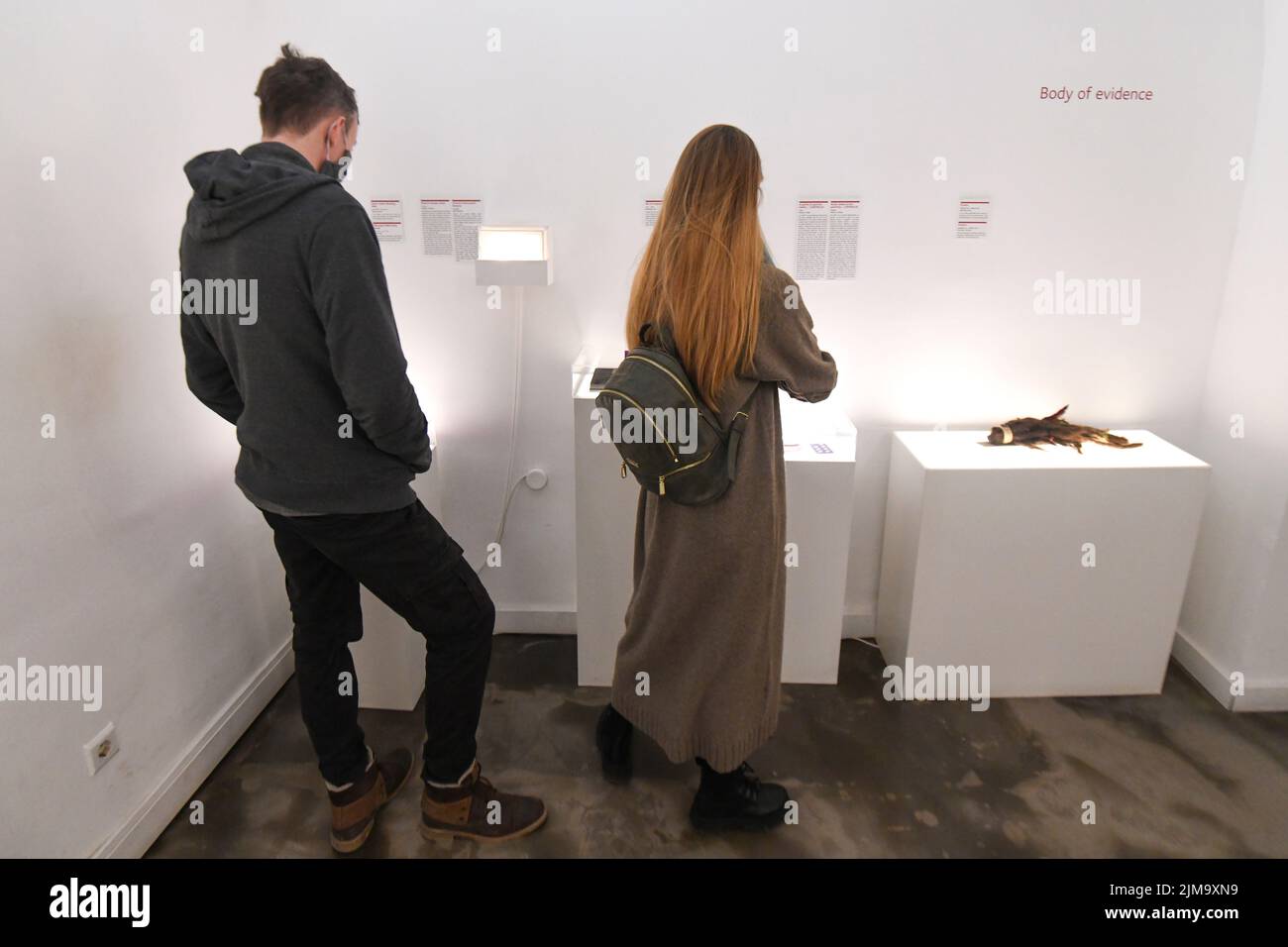 Musée des relations rompues : visiteurs regardant la collection. Zagreb, Croatie Banque D'Images