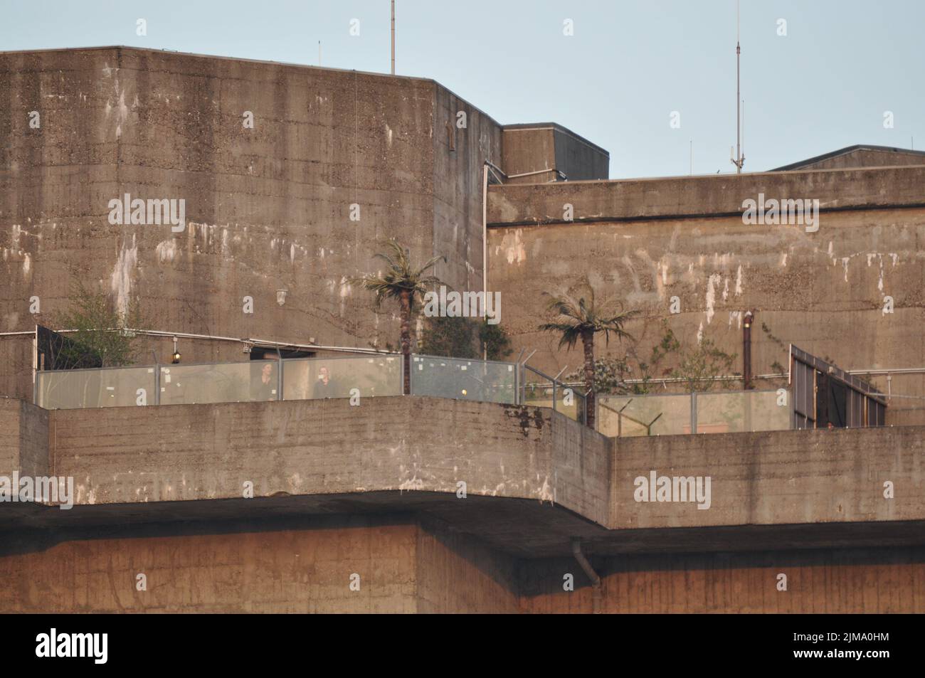 Les hauts bunkers, anciens tours de Flak, avec terrasse de toit et palmiers à Hambourg, Allemagne. Banque D'Images