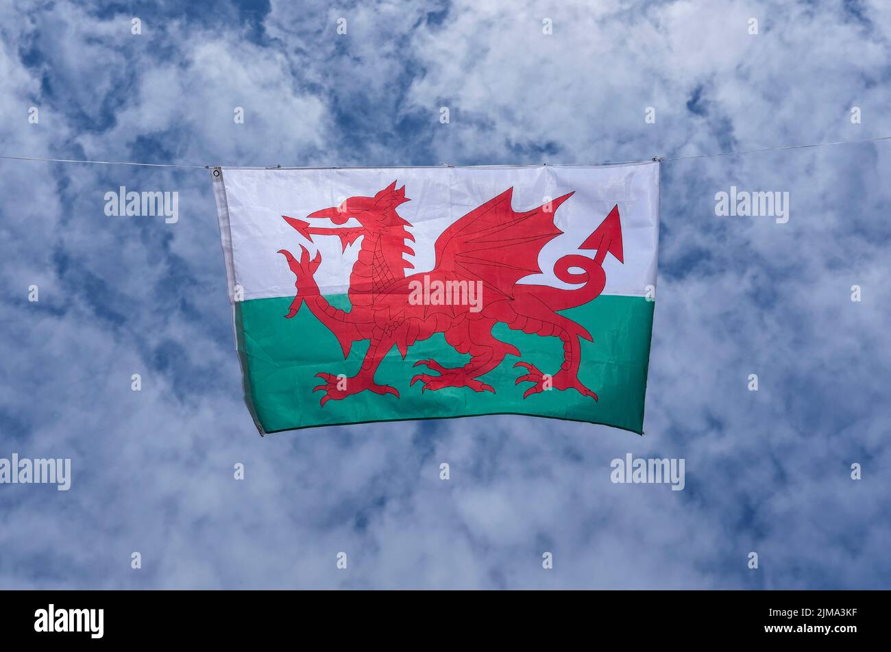 Drapeau national gallois montrant le dragon rouge du pays de Galles, Royaume-Uni sur ciel bleu Banque D'Images
