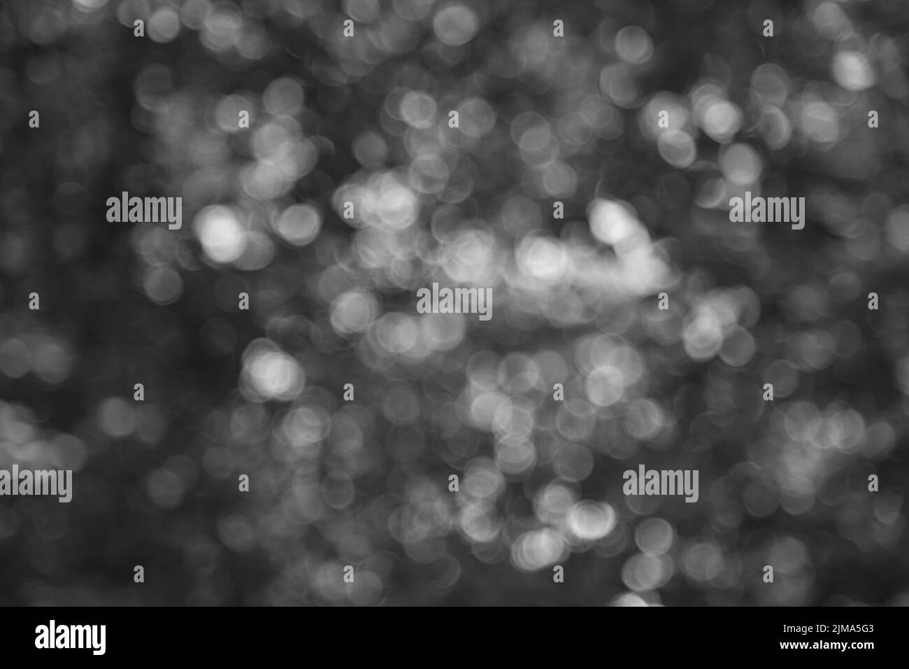 flous d'objectif, lumières de bokeh floues en blanc et gris sur noir pour le web design, les arrière-plans, les compositions et les superpositions Banque D'Images