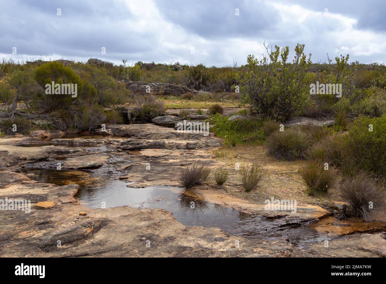 Petits bassins d'eau sur le plateau de Bokkeveld dans le Cap Nord de l'Afrique du Sud Banque D'Images