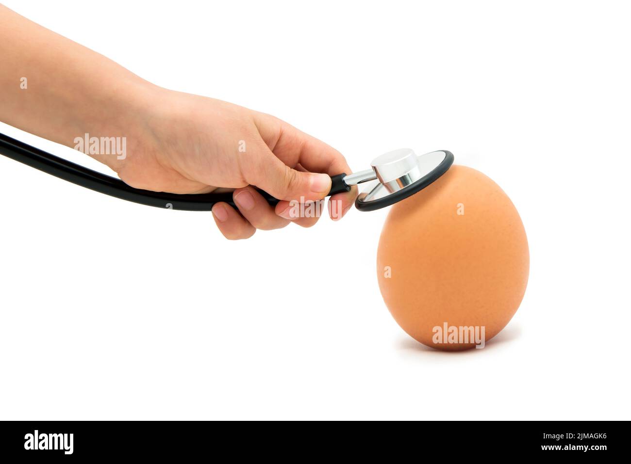 Vérification de la Santé de l'Œuf, Œuf avec stéthoscope avec fond blanc Banque D'Images