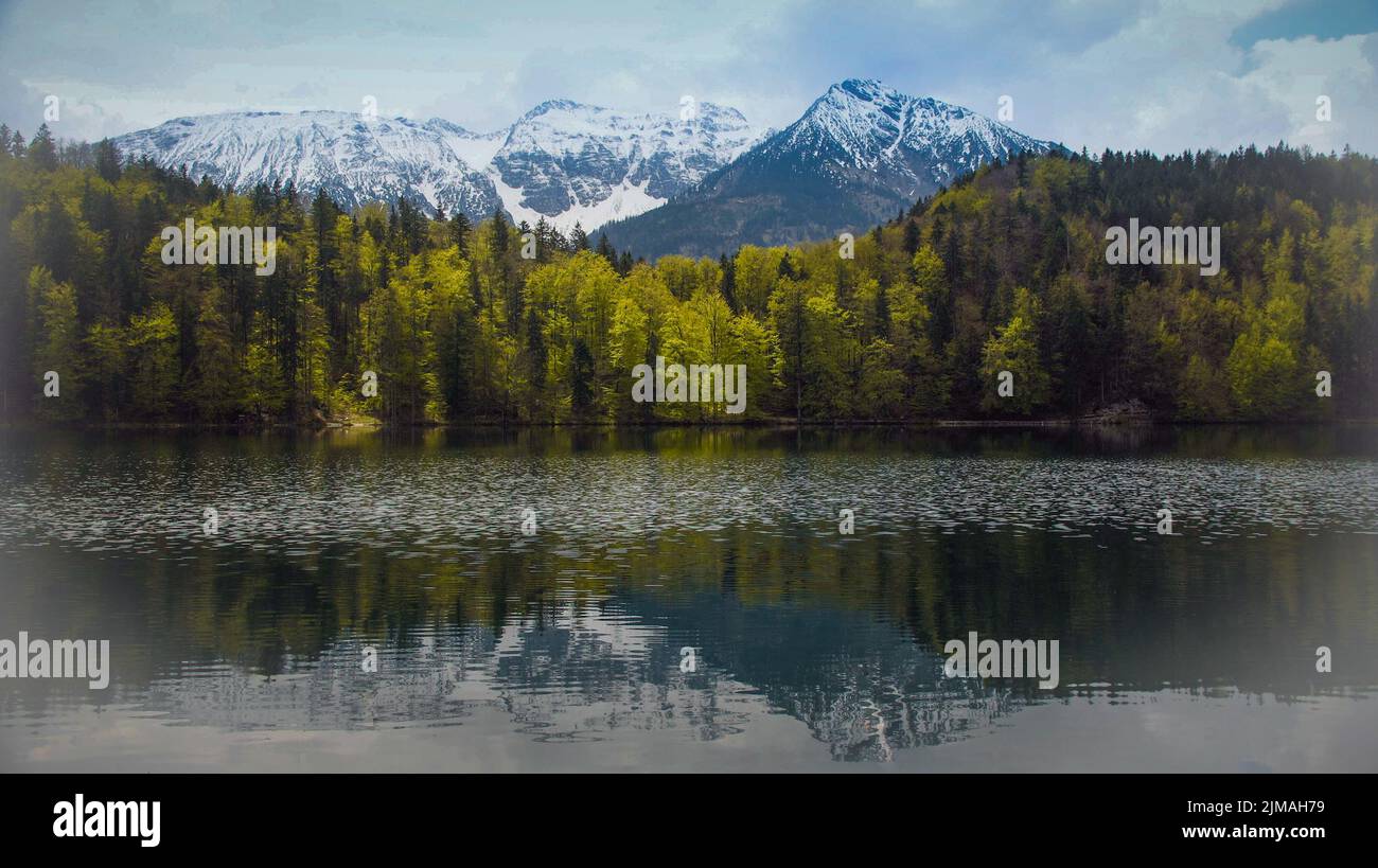 Paysage en Bavière - Lac Alatsee - AllgÃ¤u Banque D'Images