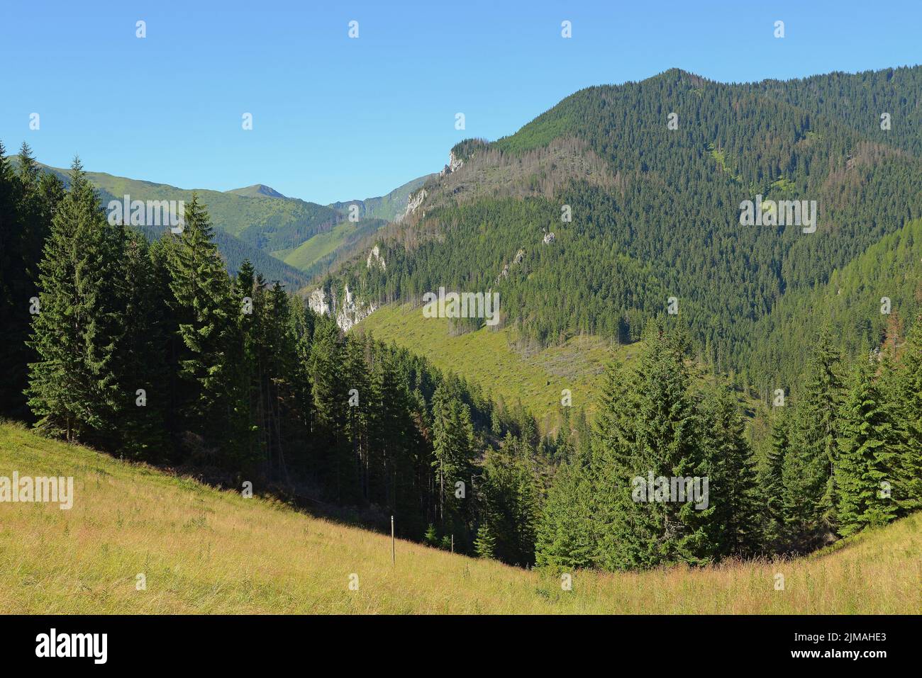 Vallée de Chocholowska vue de Jamy glade, West Tatra, Pologne Banque D'Images