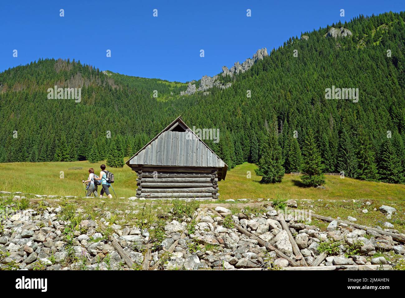 Cabane en bois Hirten sur la glade Chocholowska, montagnes polonaises Tatra, Pologne Banque D'Images