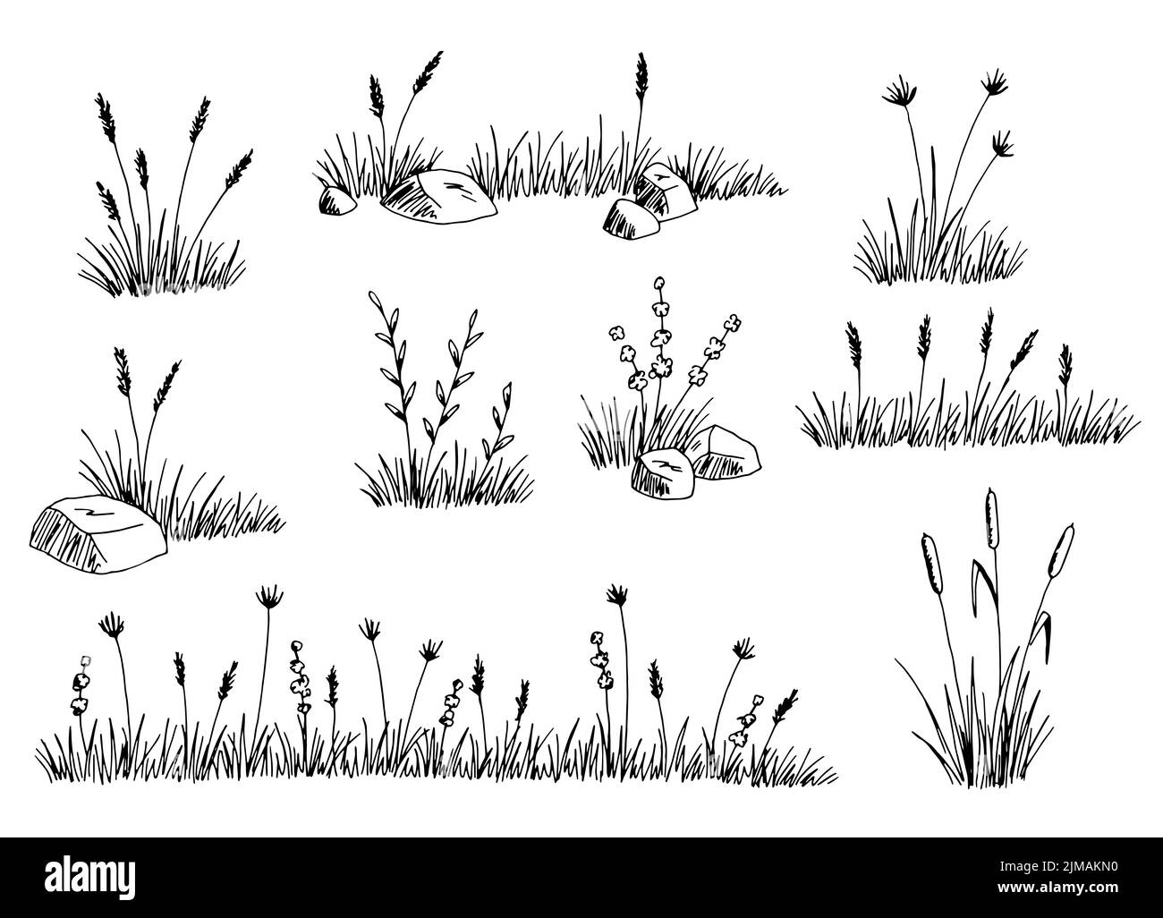 Motif de l'ensemble de graminées noir blanc isolé vecteur d'illustration d'esquisse Illustration de Vecteur