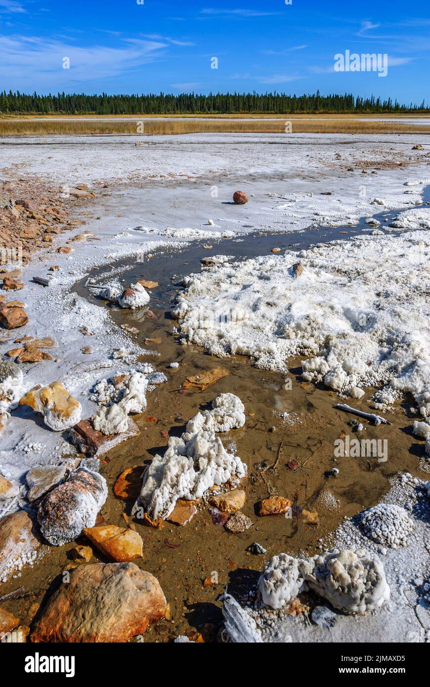 Une source minérale saturée de sels dissous s'écoule du sol au bord de la plaine de sel dans le parc national Wood Buffalo Banque D'Images